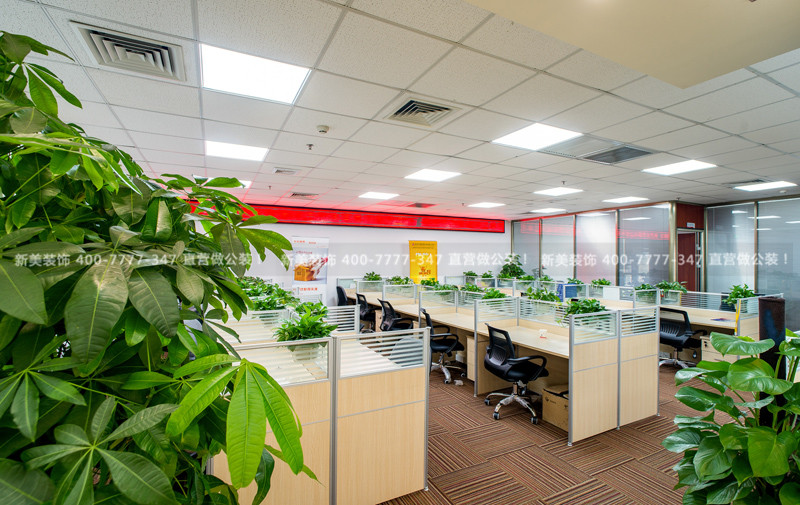 1553744058056042046.jpg 新美裝飾-聚隆源投資 (5).jpg